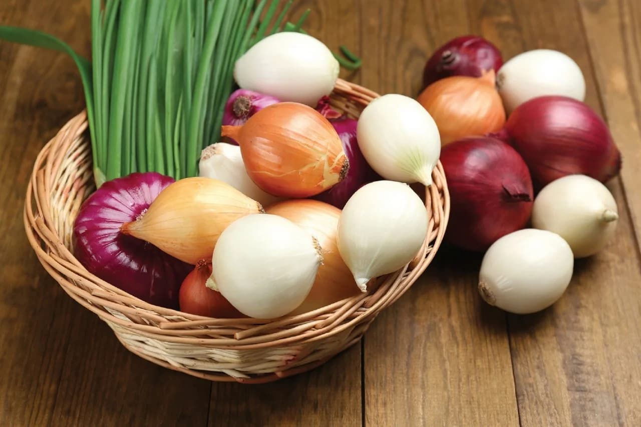 Onion
